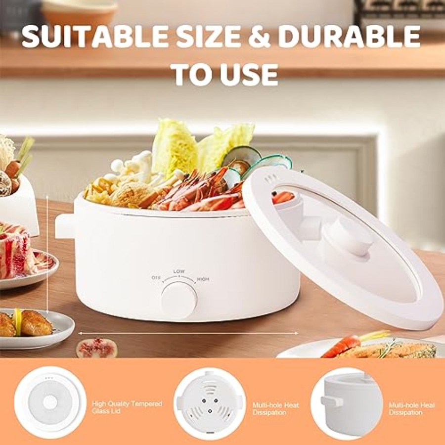 3L Portable Electric Hot Pot w - đánh giá và giá Hot Pot Portable Dual