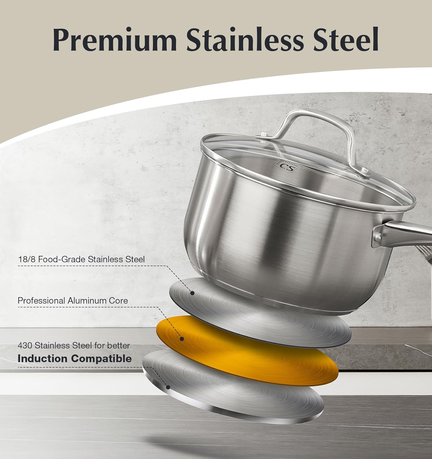 KOCH SYSTEME CS 10 Piece Stain - đánh giá và giá Paella Pan Steel
