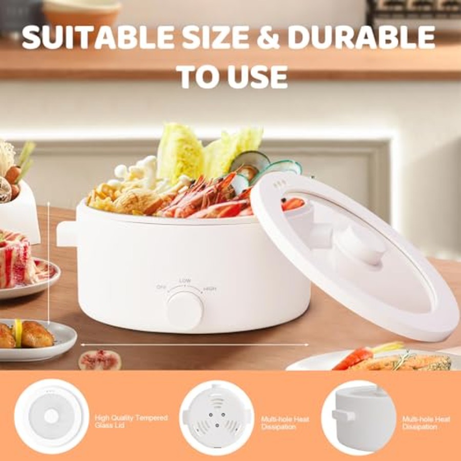 Hot Pot Electric 3L Portable E - đánh giá và giá Hot Pot Portable Dual